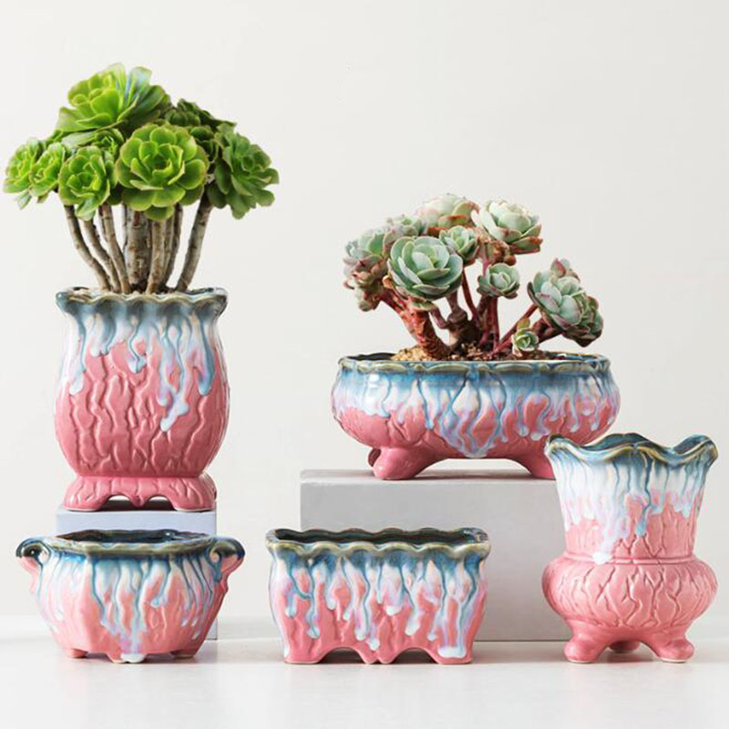 Bonsai Tree Zen Garden - Creative Glazed Flowerpot Succulent Plant Pot
