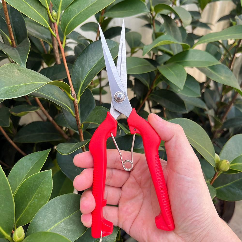 Bonsai Garden Tree - Pro Garden Pruning Shears Lengthened Tree
