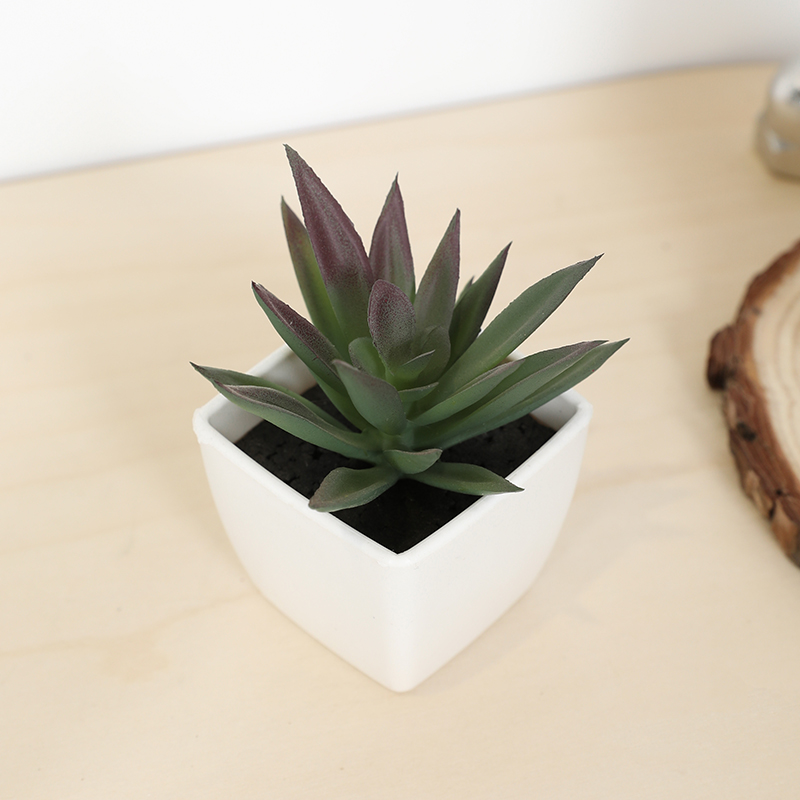 Bonsai Garden Mini - Mini Artificial Succulent Fairy Cup Small
