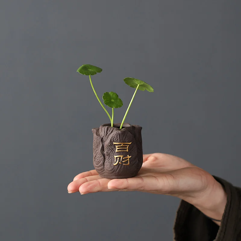 Creative Purple Clay Tea Pet F - огляд і ціна Bonsai Garden Mini
