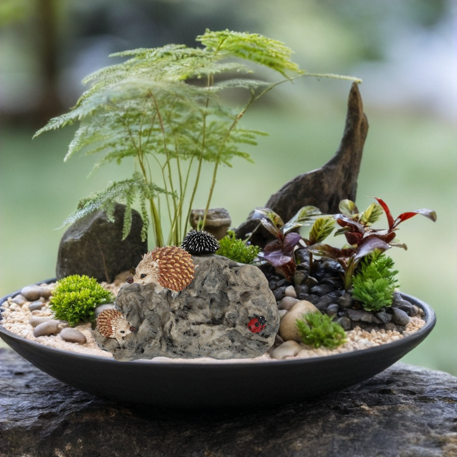 Mini Hedgehog Garden Statue Re - огляд і ціна Bonsai Garden Mini
