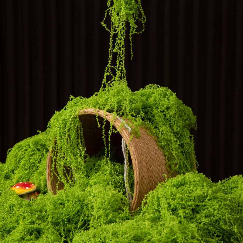 200g Eternal Life Moss DIY Cra - огляд і ціна Bonsai Garden Mini