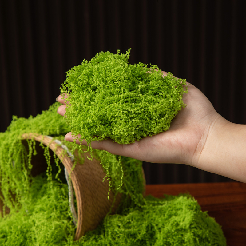 200g Eternal Life Moss DIY Cra - огляд і ціна Bonsai Garden Mini