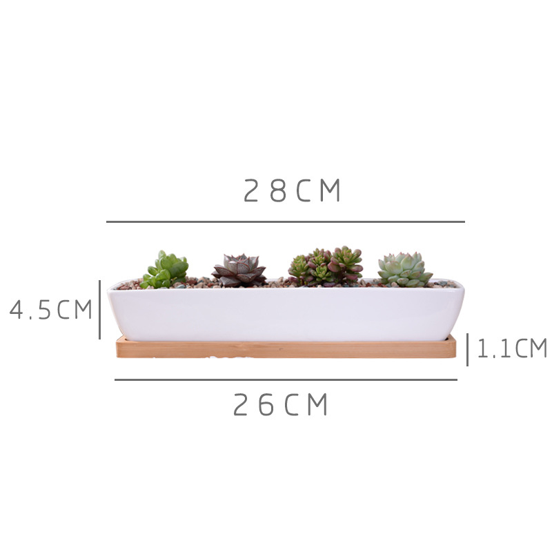Long Rectangle White Ceramic S - огляд і ціна Bonsai Tree Zen Garden