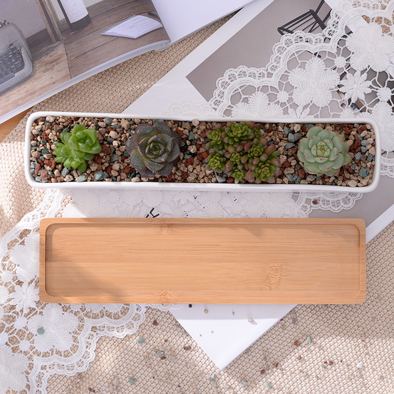 Long Rectangle White Ceramic S - огляд і ціна Bonsai Tree Zen Garden