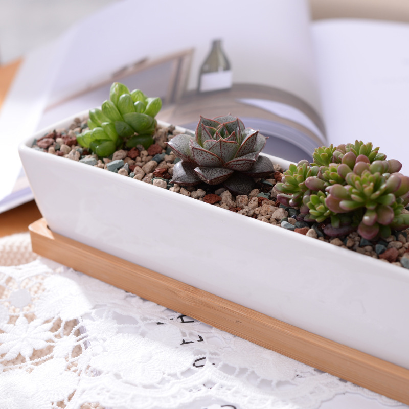 Long Rectangle White Ceramic S - огляд і ціна Bonsai Tree Zen Garden