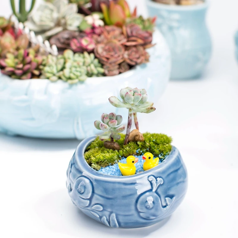 European Style Cute Fleshy Flo - огляд і ціна Bonsai Tree Zen Garden