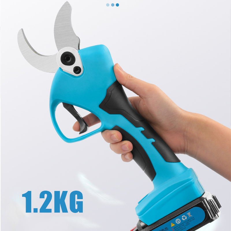21V Cordless Lithium-ion Progr - огляд і ціна Bonsai Garden Dc