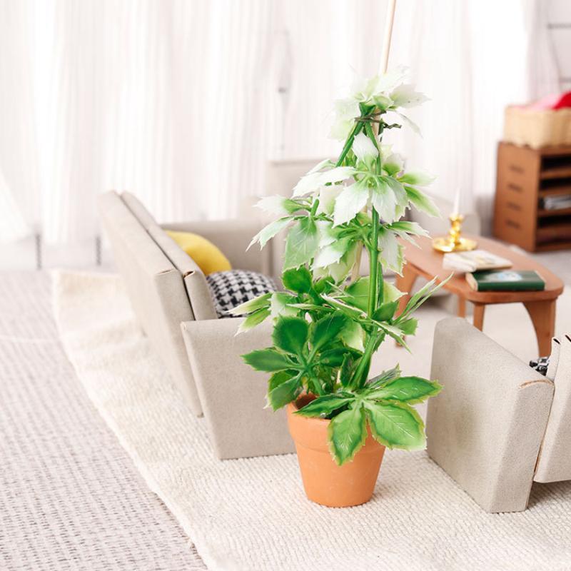 1/12 Dollhouse Simulation Gree - огляд і ціна Us Bonsai Garden