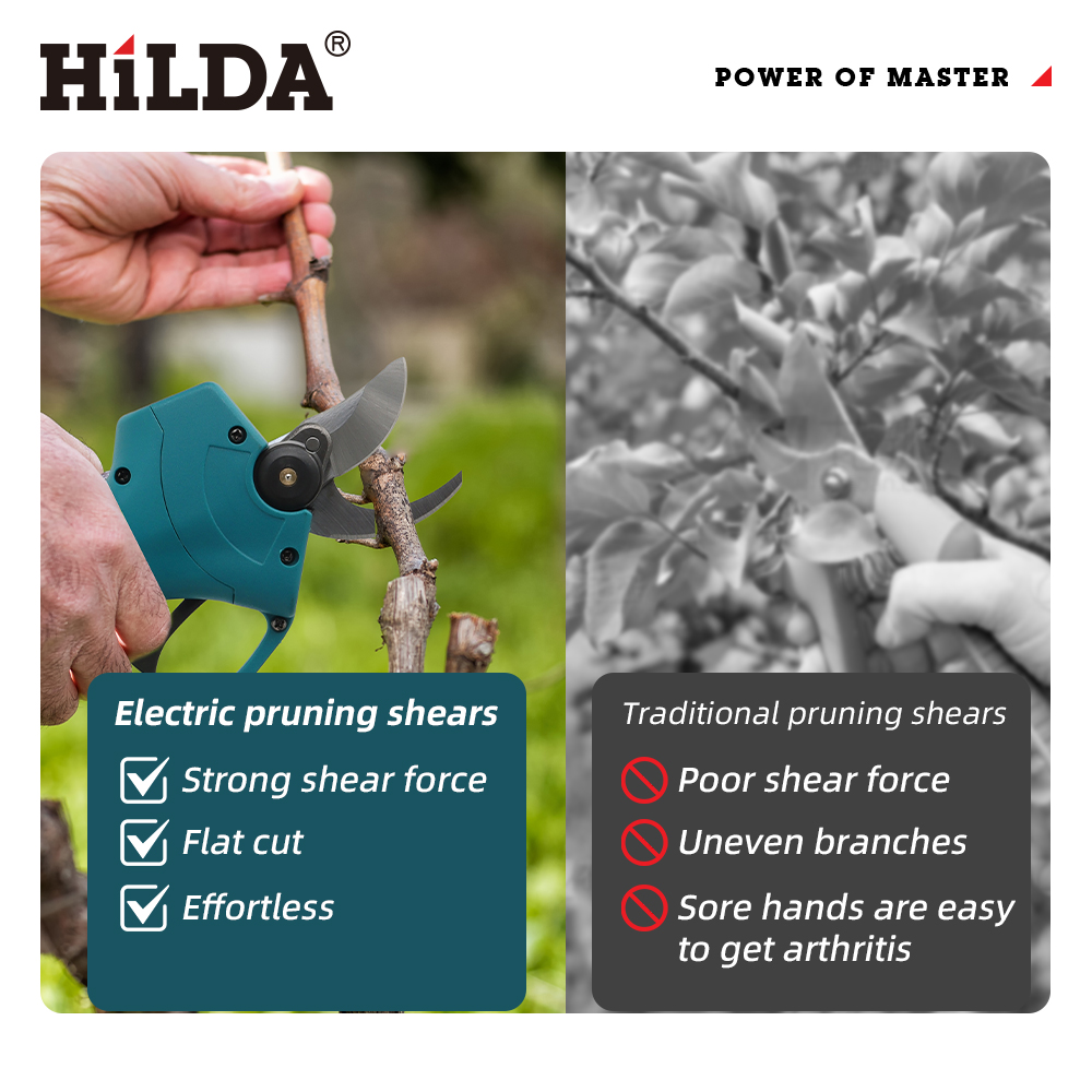 HILDA 18V Brushless Cordless E - огляд і ціна Bonsai Garden Tree