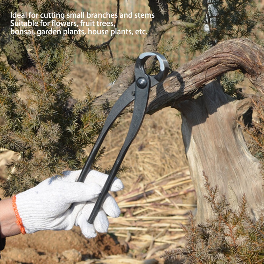 Professional Manganese Steel B - огляд і ціна Concave Branch Cutter