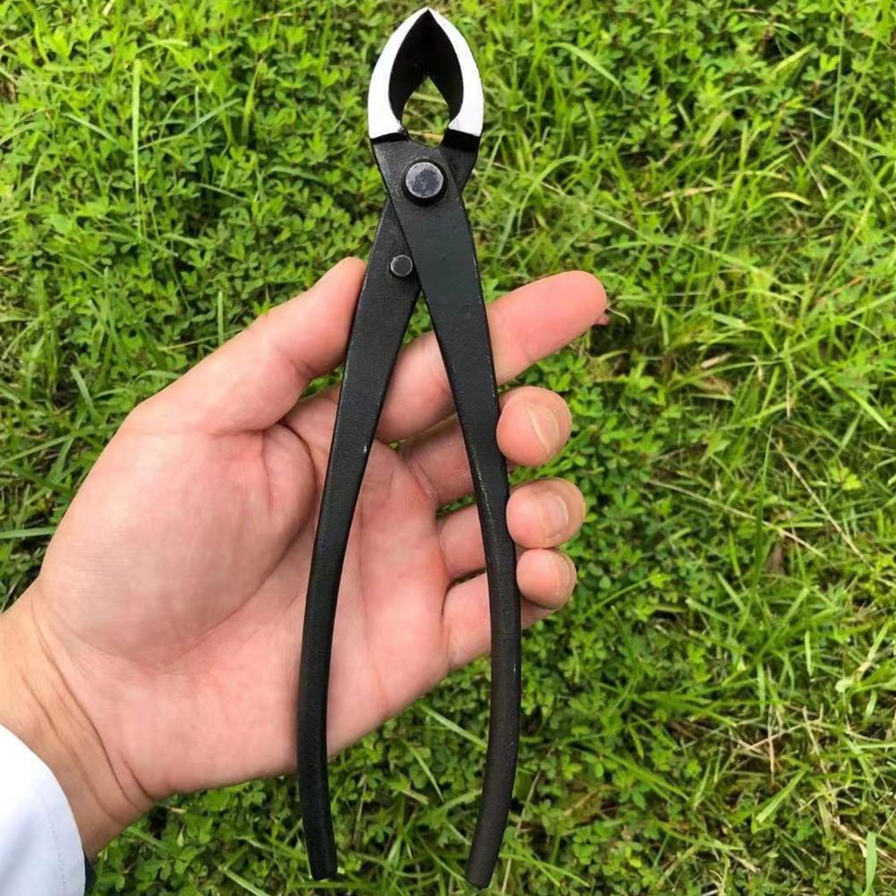 Bonsai Concave Branch Cutter M - огляд і ціна Concave Branch Cutter