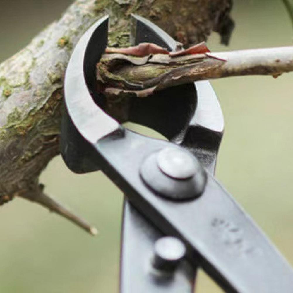 Bonsai Concave Branch Cutter M - огляд і ціна Concave Branch Cutter