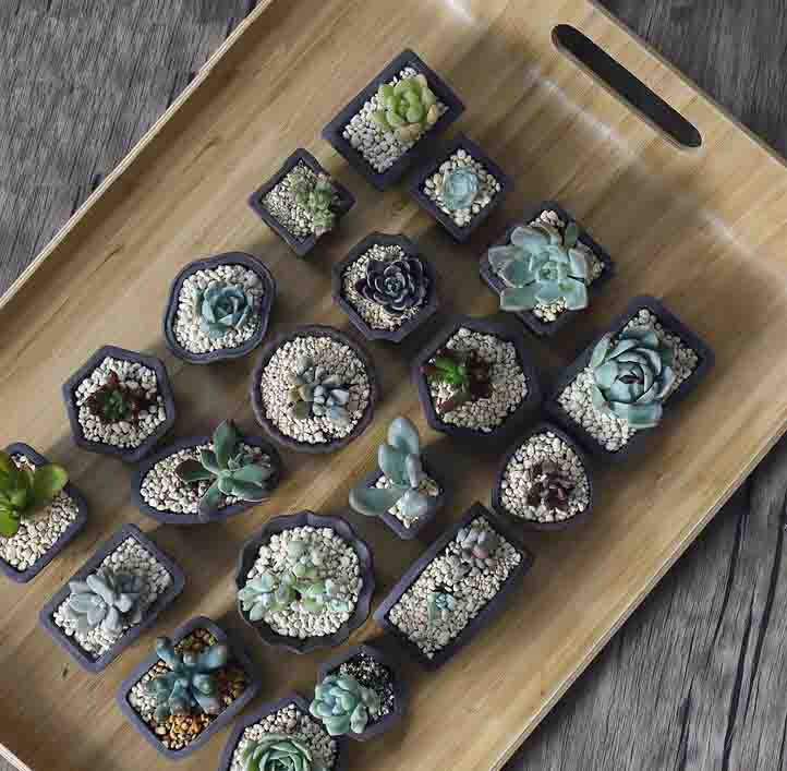 Yixing Purple Sand Flower Pot  - огляд і ціна Bonsai Tree Zen Garden