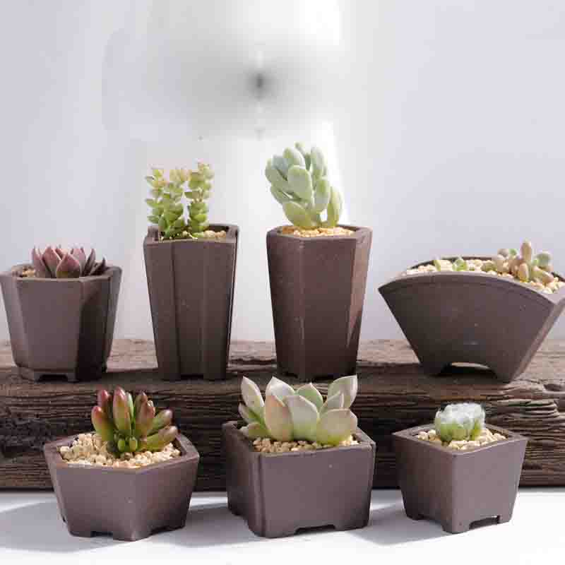 Yixing Purple Sand Flower Pot  - огляд і ціна Bonsai Tree Zen Garden