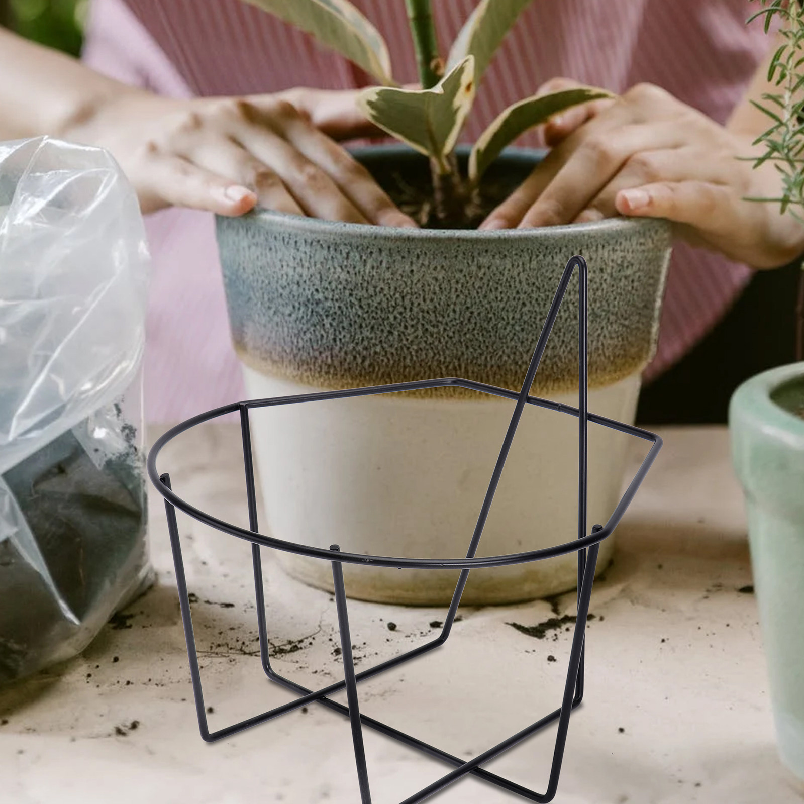 1Pcs Ironwork Wall Plant Rack  - огляд і ціна Us Bonsai Garden