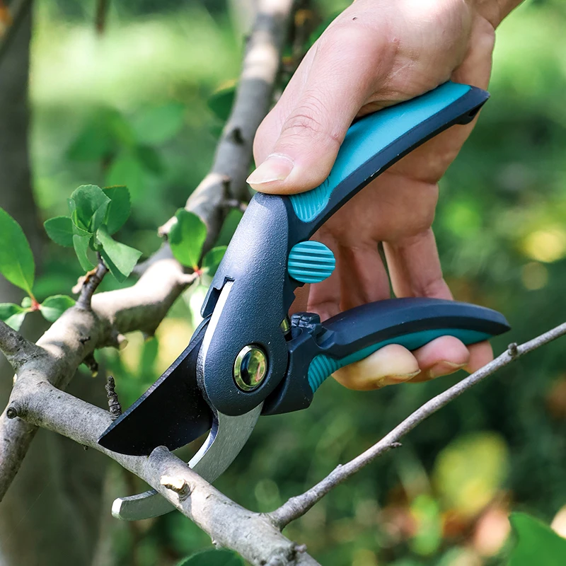 Pruning fruit trees, scissors, - огляд і ціна Bonsai Garden Tree
