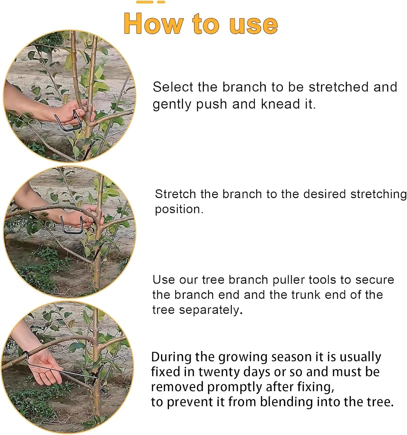 Adjustable Fruit Tree Branch S - огляд і ціна Bonsai Garden Tree