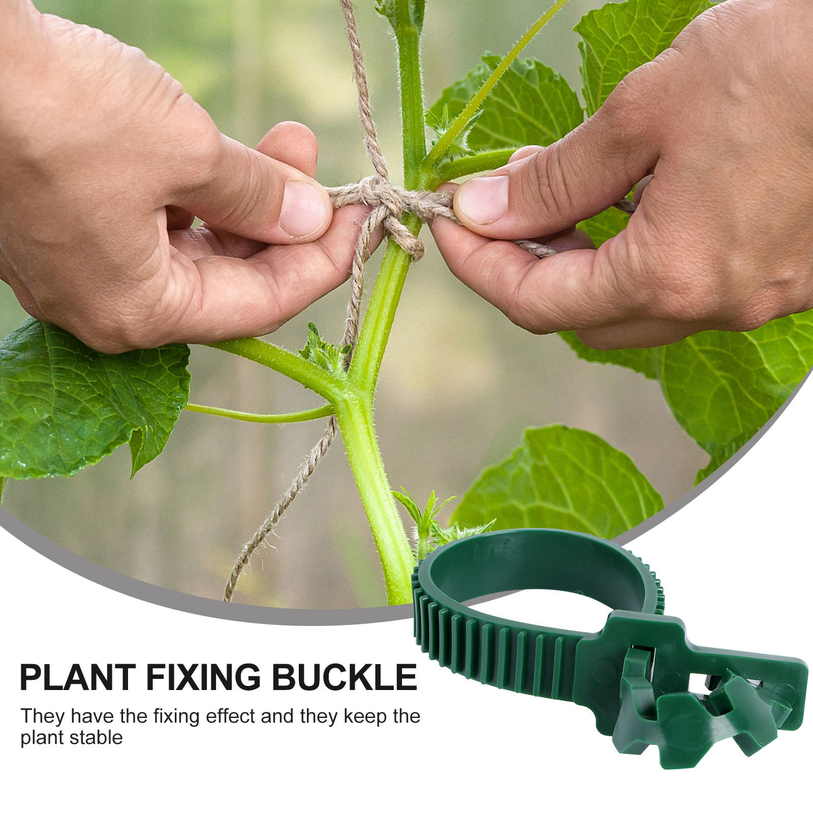 20Pcs Vine Fixing Buckle Plant - огляд і ціна Us Bonsai Garden