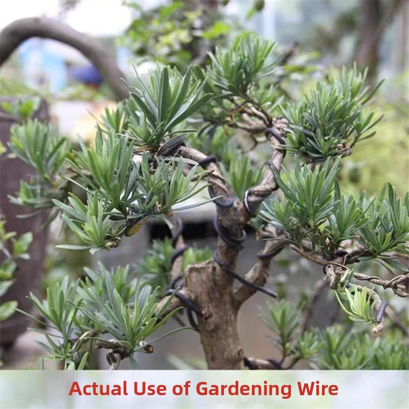 1.5MM Bonsai Wires Aluminum Bo - огляд і ціна Us Bonsai Garden