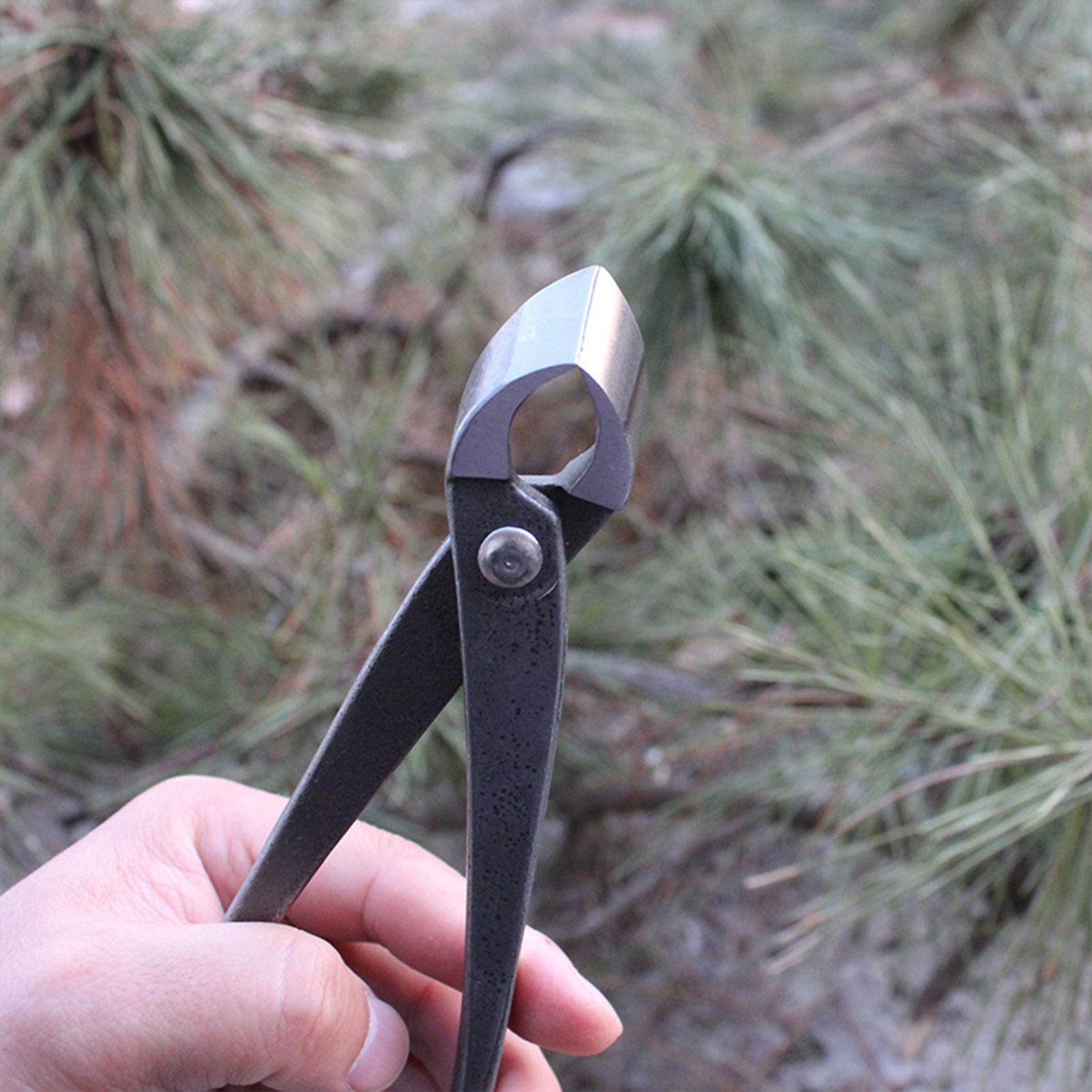 Garden Bonsai Knob Cutter Conc - огляд і ціна Concave Branch Cutter