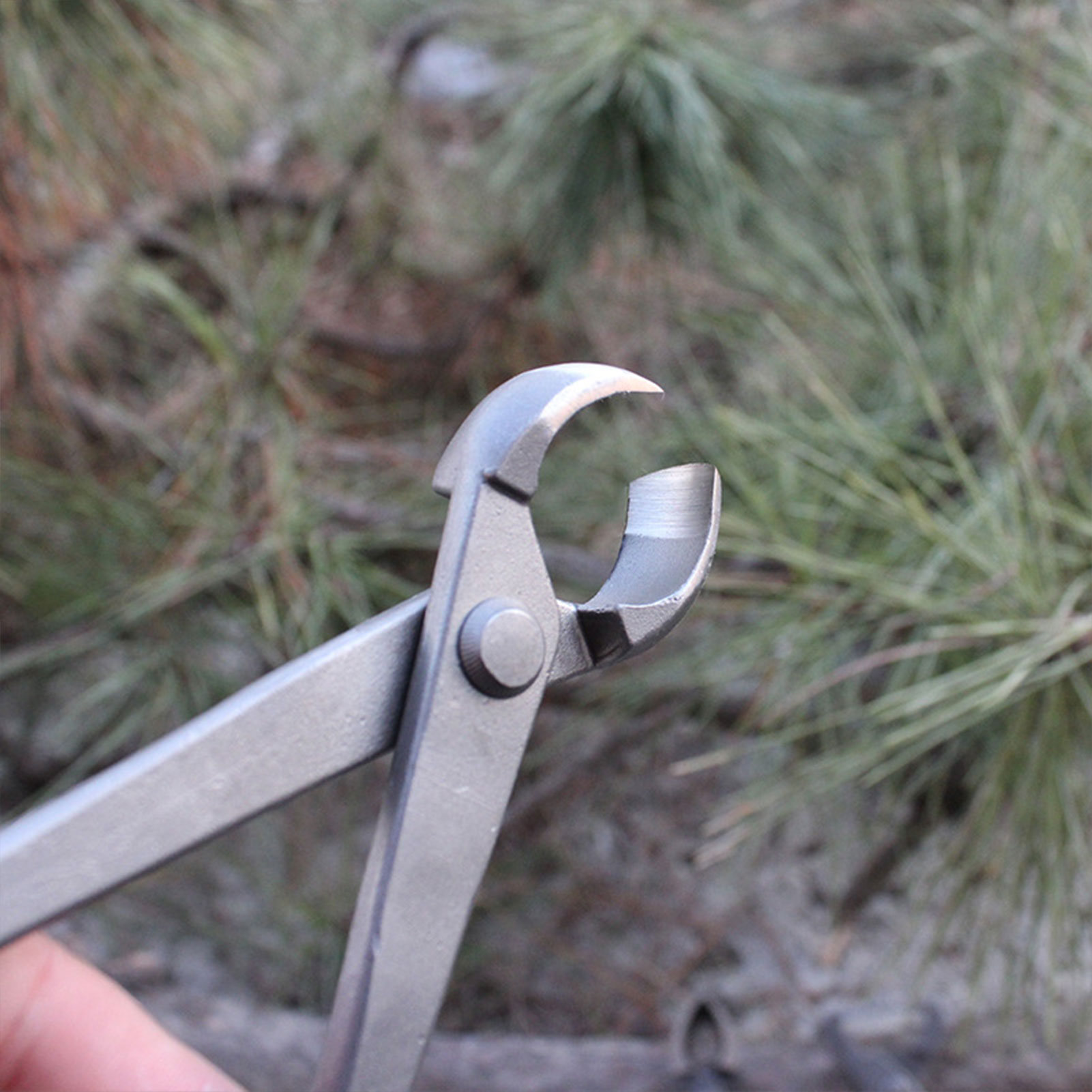 Garden Bonsai Knob Cutter Conc - огляд і ціна Concave Branch Cutter