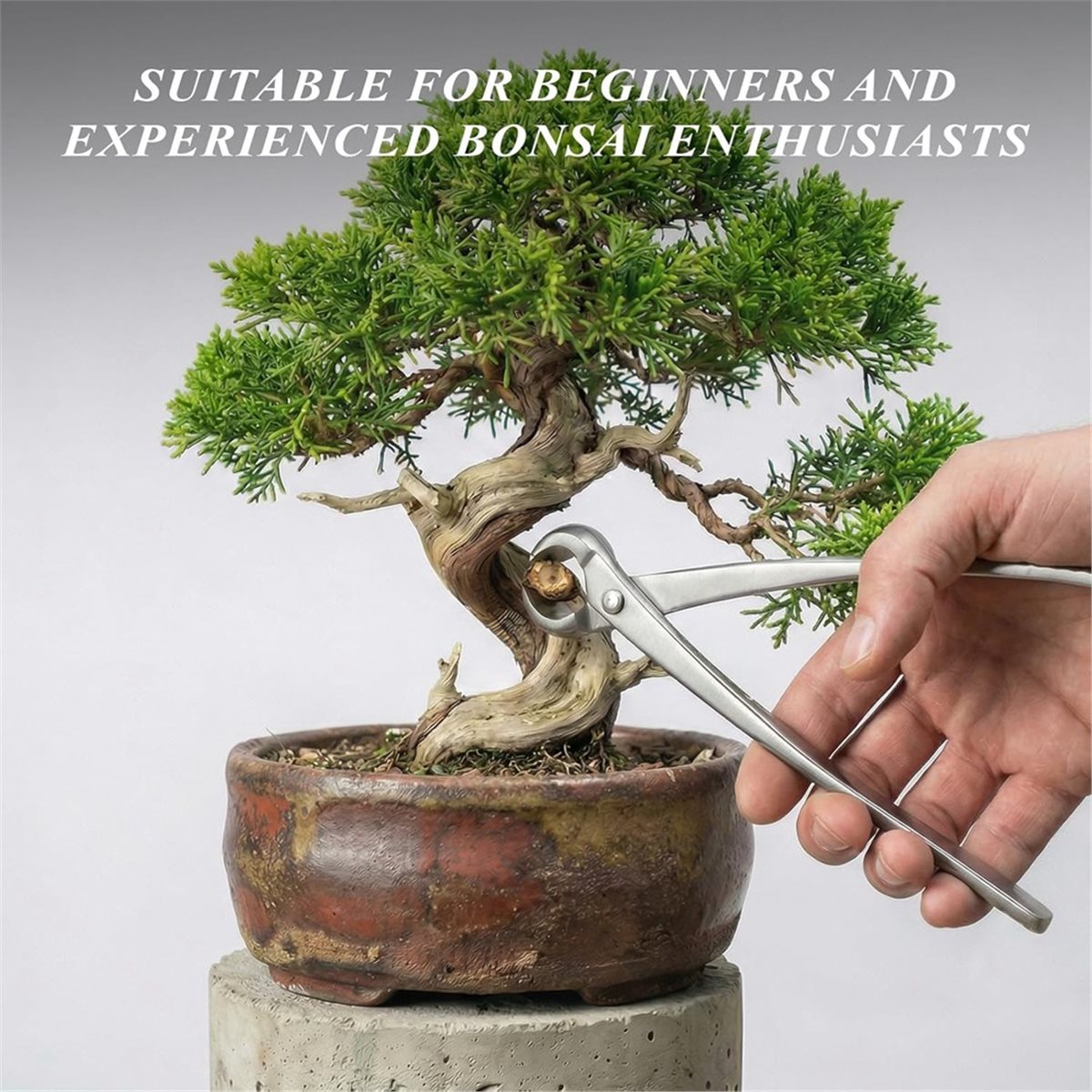 AWAH Bonsai Tools Set- High-Ca - огляд і ціна Concave Branch Cutter