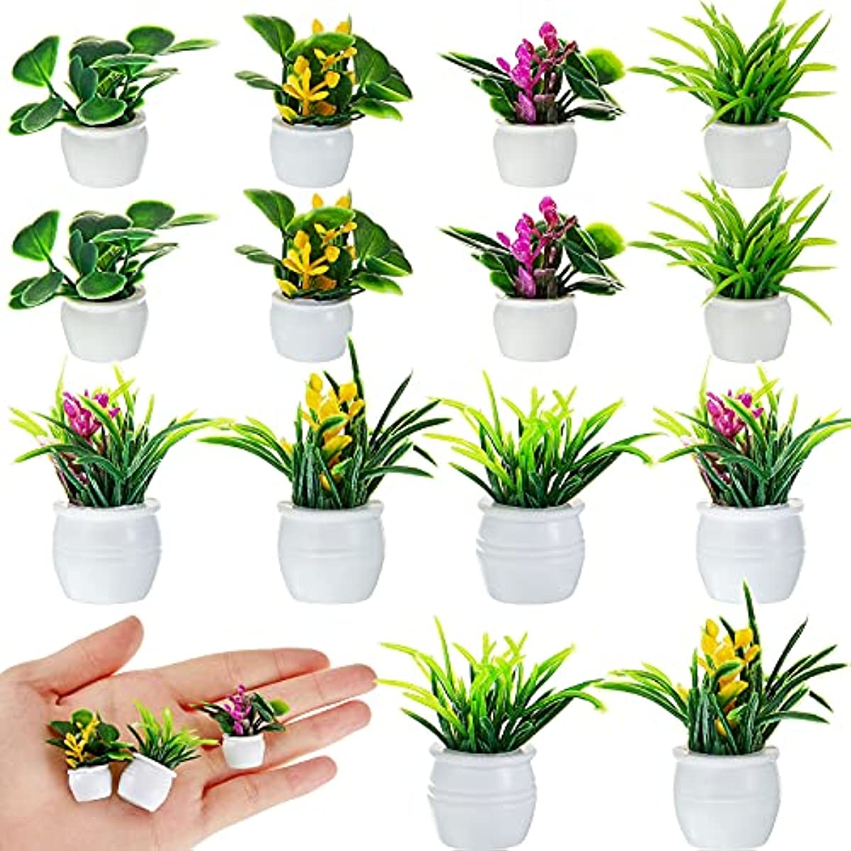 Dollhouse Plant, Miniature Bon - огляд і ціна Bonsai Garden Mini