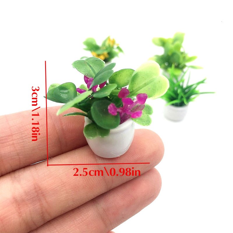 Dollhouse Plant, Miniature Bon - огляд і ціна Bonsai Garden Mini