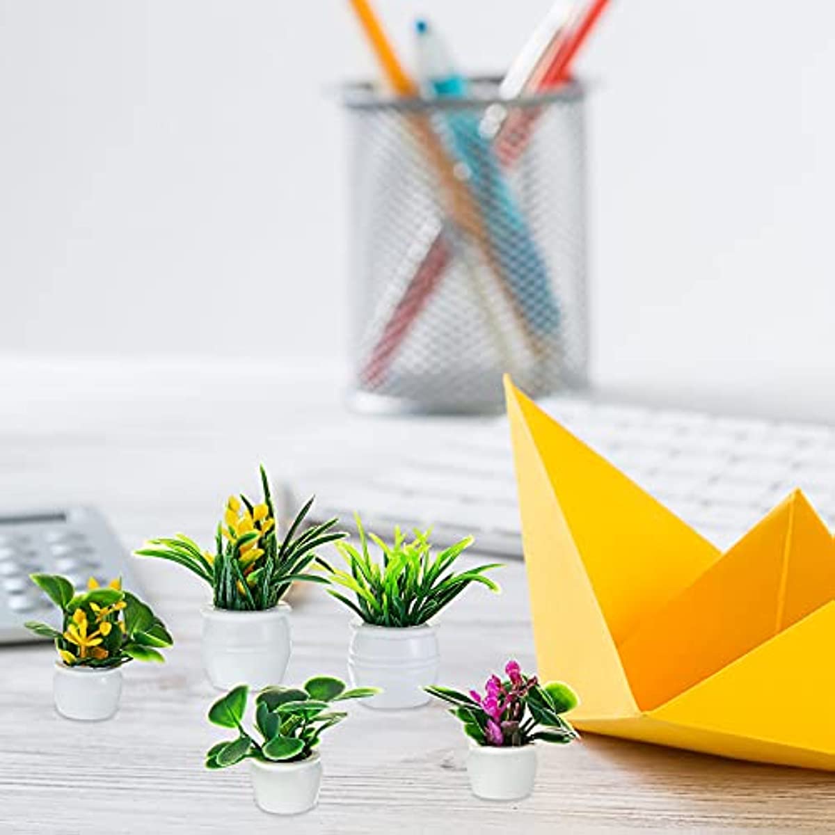 Dollhouse Plant, Miniature Bon - огляд і ціна Bonsai Garden Mini
