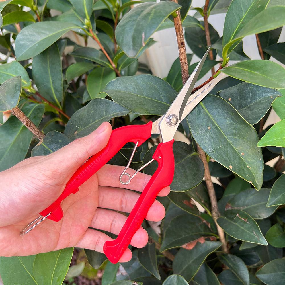 Pro Garden Pruning Shears Leng - огляд і ціна Bonsai Garden Tree