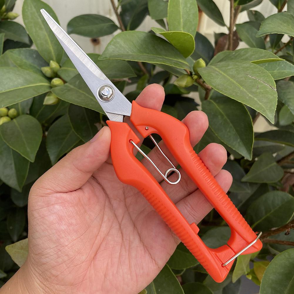 Pro Garden Pruning Shears Leng - огляд і ціна Bonsai Garden Tree