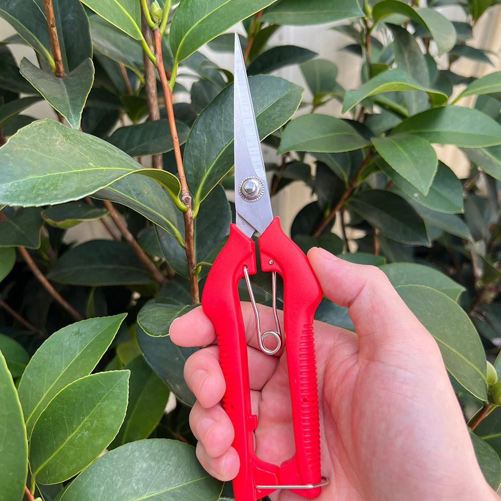 Pro Garden Pruning Shears Leng - огляд і ціна Bonsai Garden Tree