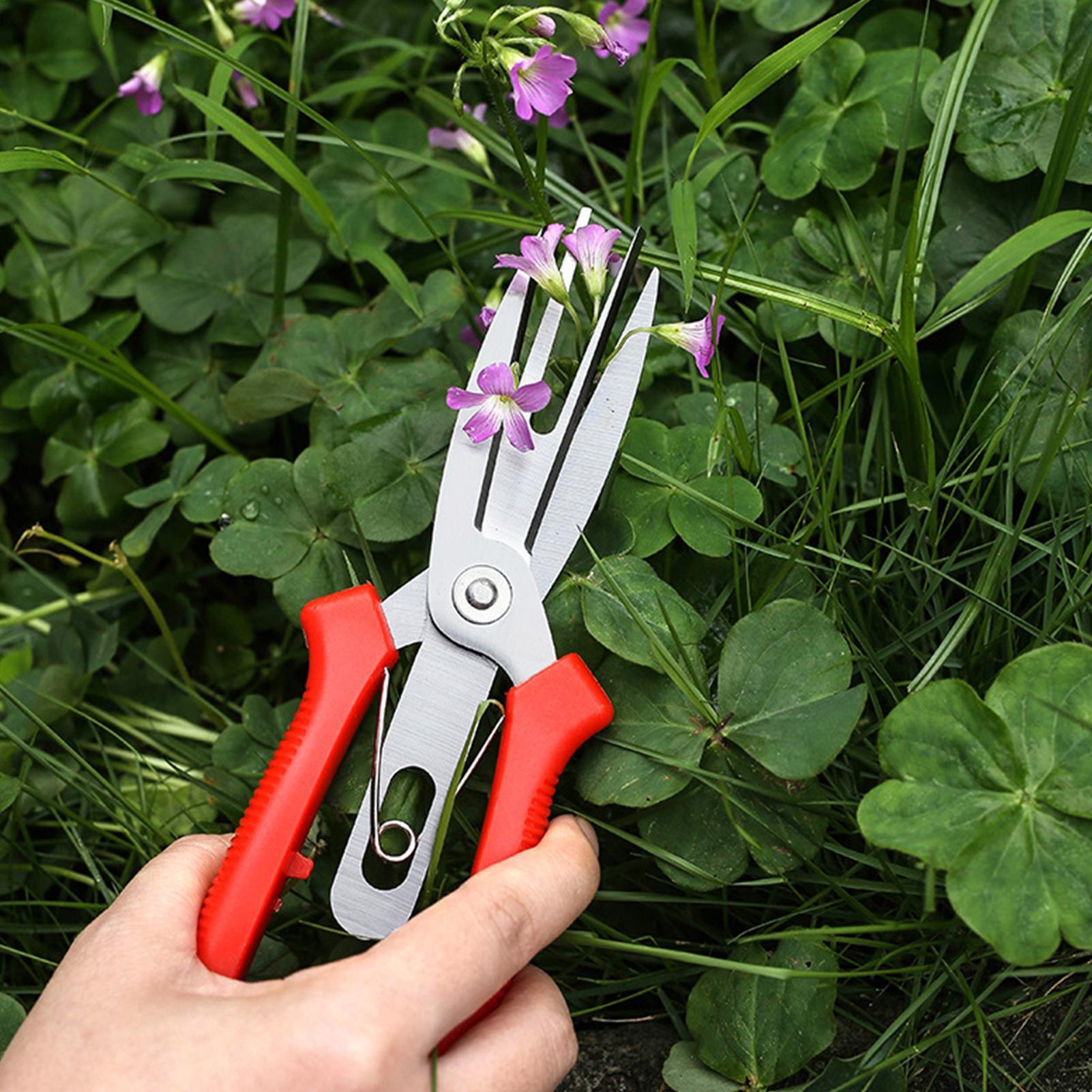Garden Shears Stainless Steel  - огляд і ціна Us Bonsai Garden