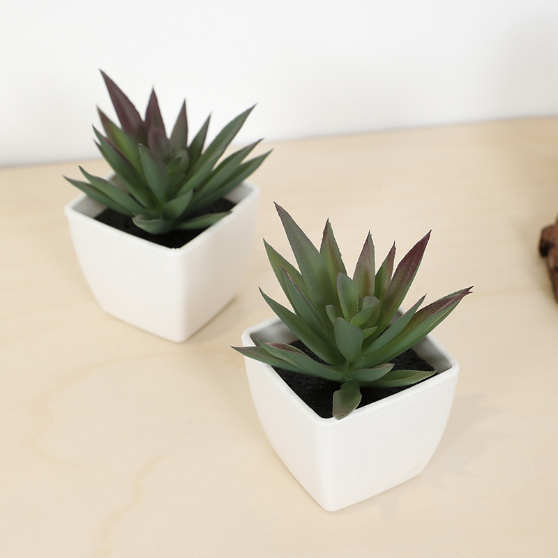 Mini Artificial Succulent Fair - огляд і ціна Bonsai Garden Mini