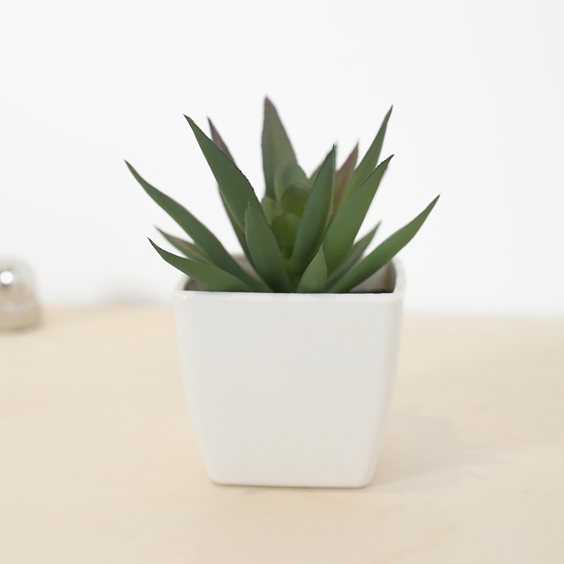 Mini Artificial Succulent Fair - огляд і ціна Bonsai Garden Mini