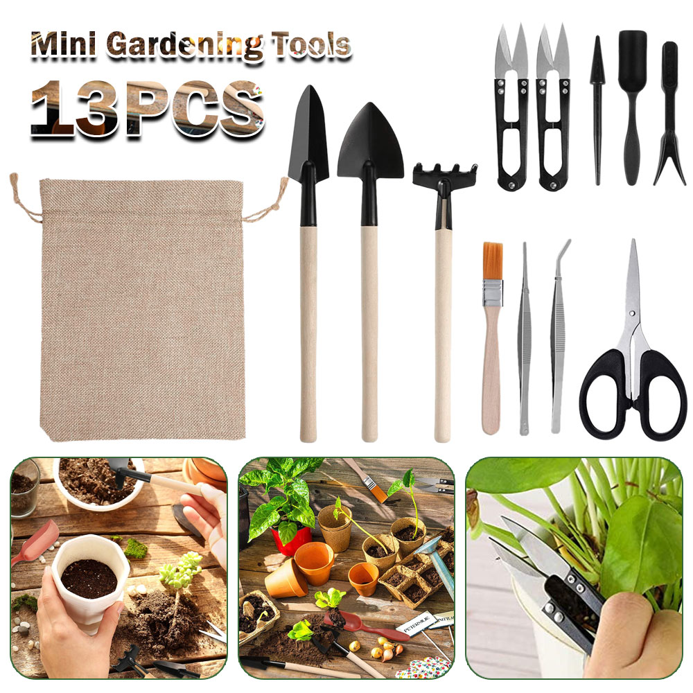 Succulent Plants Tools Mini Ga - огляд і ціна Bonsai Garden Mini