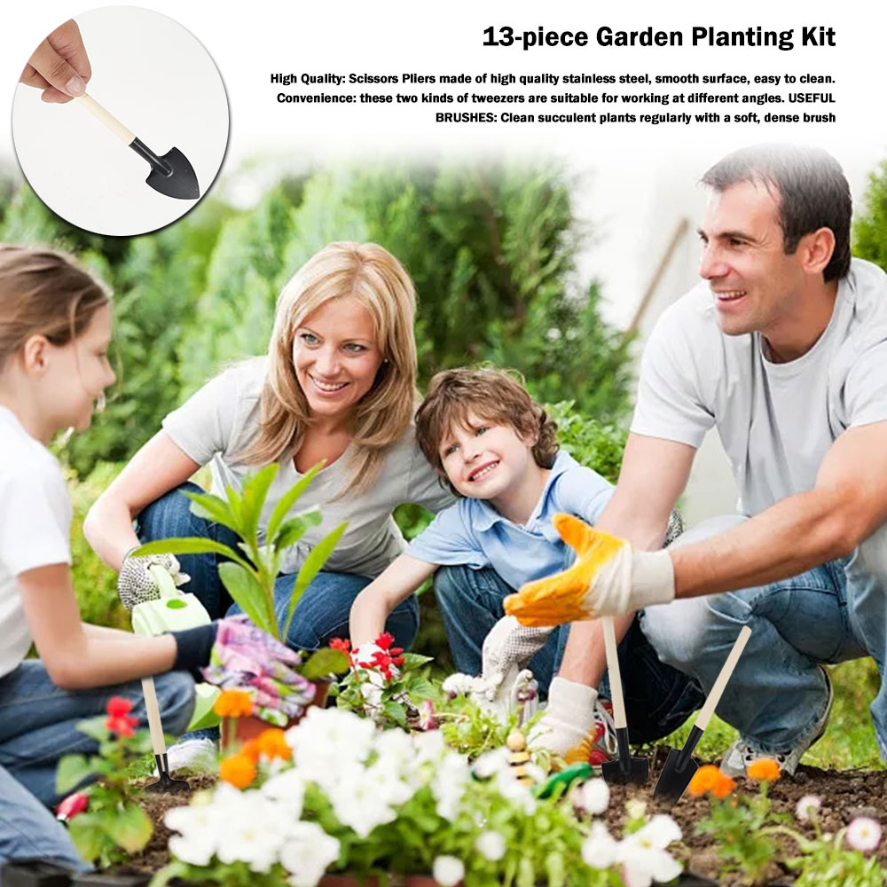 Succulent Plants Tools Mini Ga - огляд і ціна Bonsai Garden Mini