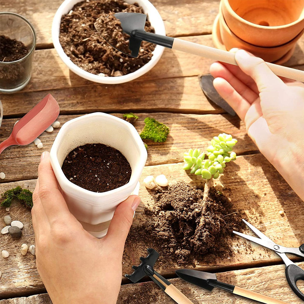Succulent Plants Tools Mini Ga - огляд і ціна Bonsai Garden Mini