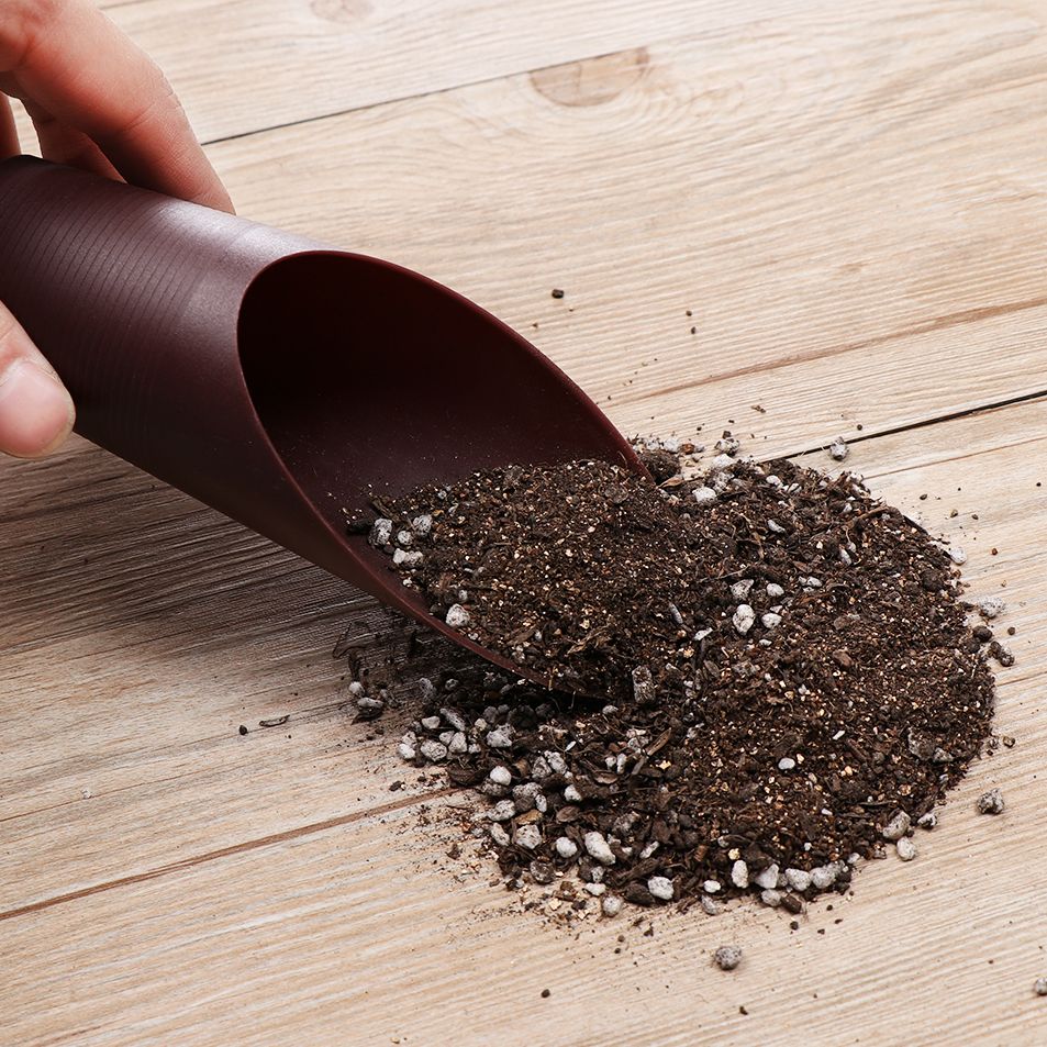1PC Plastic Soil Shovel Cup Fo - огляд і ціна Bonsai Garden Mini