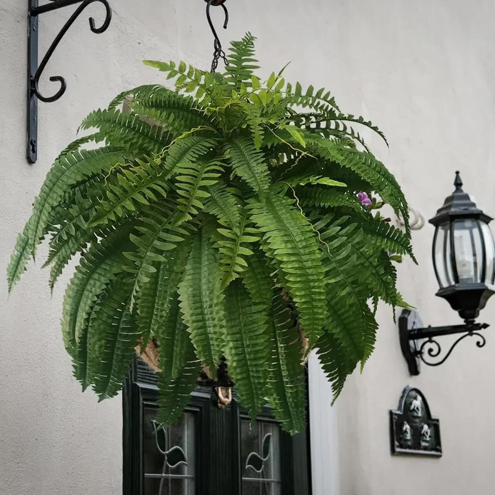 Artificial Boston Fern Fake Pl - огляд і ціна Bonsai Garden Boston